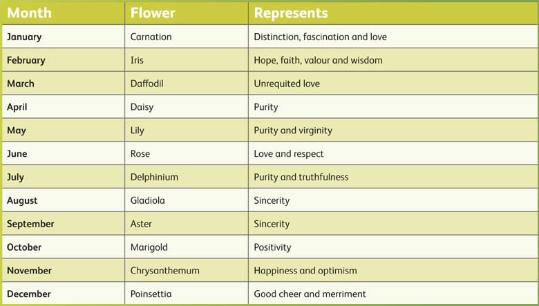 health insurance chart